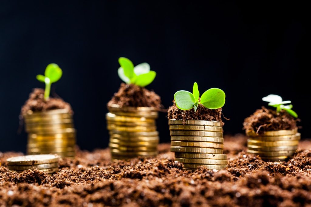 Siembra las bases de tu éxito empresarial. Descubre cómo el arrendamiento puede hacer crecer tu negocio como una planta