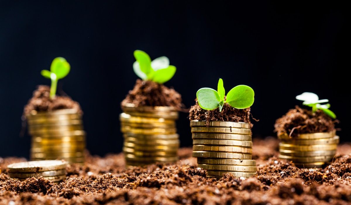 Siembra las bases de tu éxito empresarial. Descubre cómo el arrendamiento puede hacer crecer tu negocio como una planta